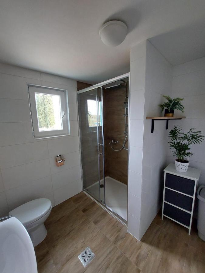 Appartement The Golden Well à Rovinj Extérieur photo